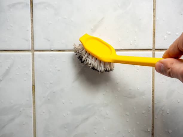 Best Mold Remediation  in Arkoma, OK