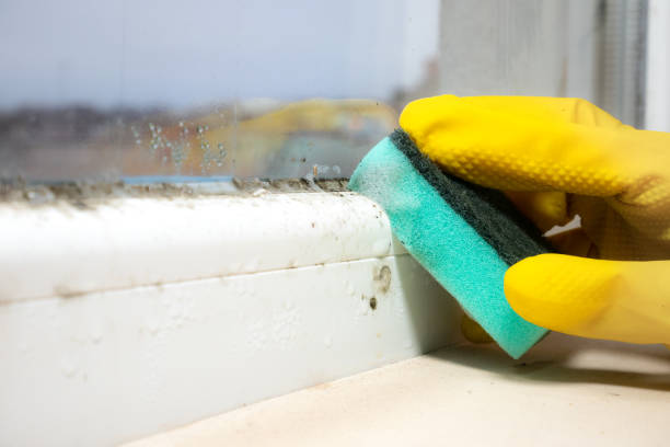 Best Mold Remediation Services  in Arkoma, OK