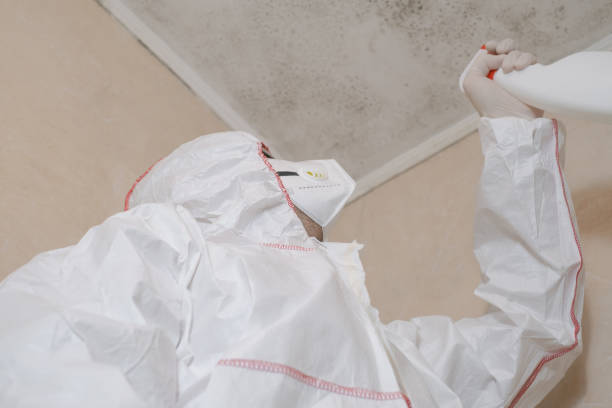 Best Certified Mold Removal  in Arkoma, OK