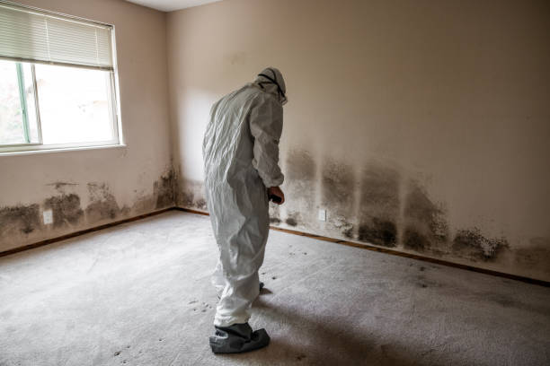 Arkoma, OK Mold Removal Company