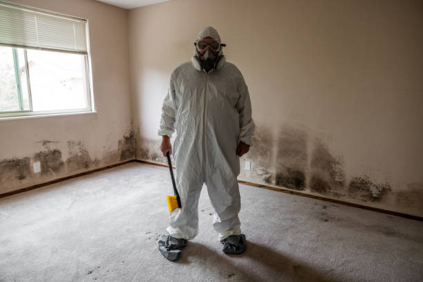 Best Attic Mold Removal  in Arkoma, OK