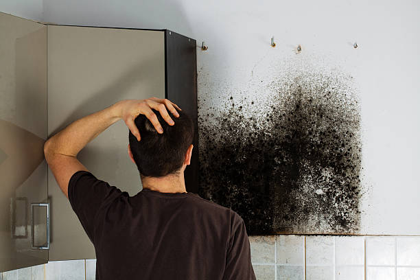 Best Mold Removal Specialists  in Arkoma, OK